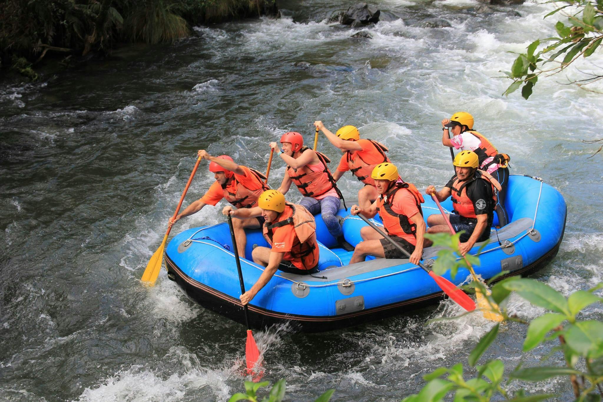 The participants of Rangitaiki River Rafting in Murupara with Rafting Adventure Rotorua are facing a rapid on the river.