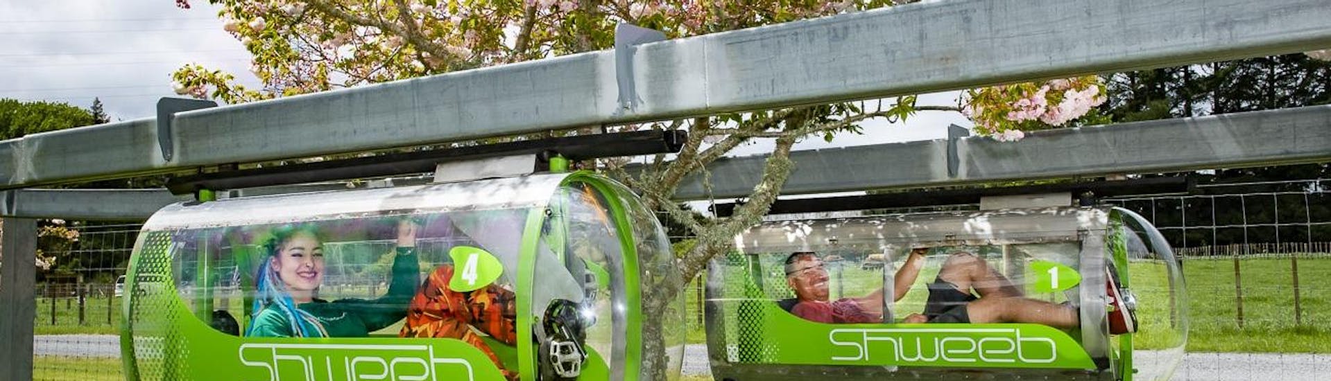 A girl is racing in an aerodynamic pod against her friend during the Shweeb Racer in Rotorua located in Velocity Valley Rotorua Adventure Park.