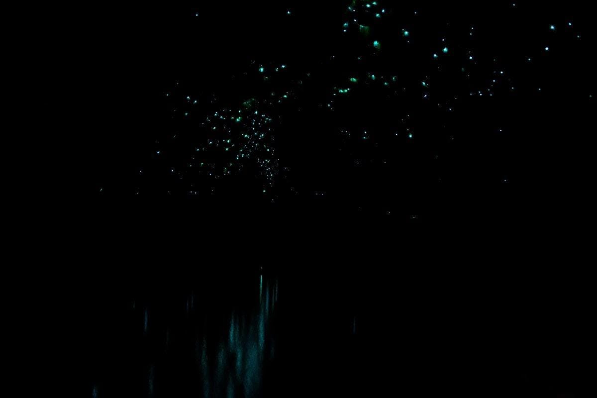 Two participants of the Kayak Rotorua - Twilight Glow Worm Tour Summer are starring in awe the glow worms during the activity organized by Paddle Board Rotorua.