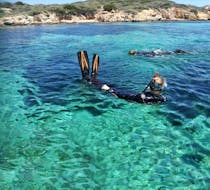 Snorkeling a Porto Pollo - Tour Arcipelago della Maddalena con 2 Sides Porto Pollo.