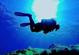 Un subacqueo durante le immersioni di prova a Ustica per principianti con Lustrica Diving Center.