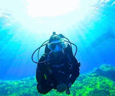 Un subacqueo esperto durante le immersioni subacquee a Ustica per subacquei certificati con Lustrica Diving Center.