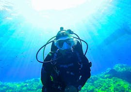 Scuba Diving in Ustica for Certified Divers with Lustrica Diving Center