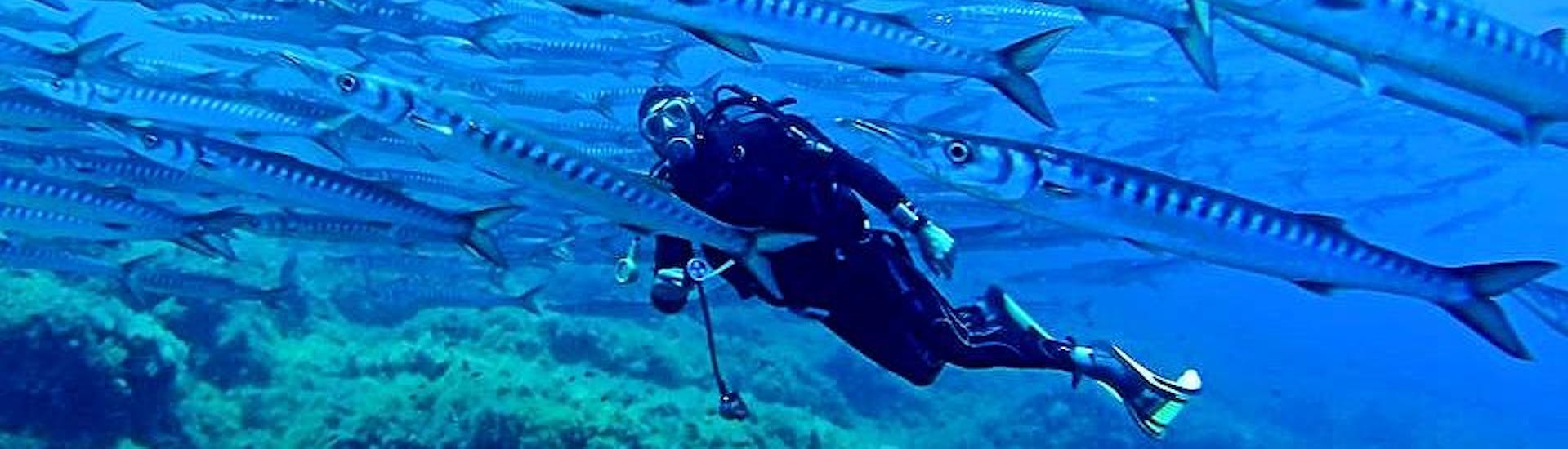 scuba-diving-in-ustica-for-certified-divers-lustrica-diving-center-hero