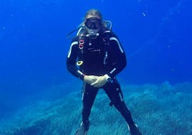 Tauchkurs in Ustica für Anfänger mit Lustrica Diving Center
