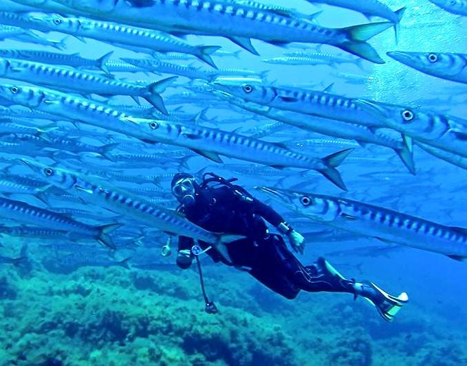 🇬🇹 🐟 - El Pescadito finds the one that got away