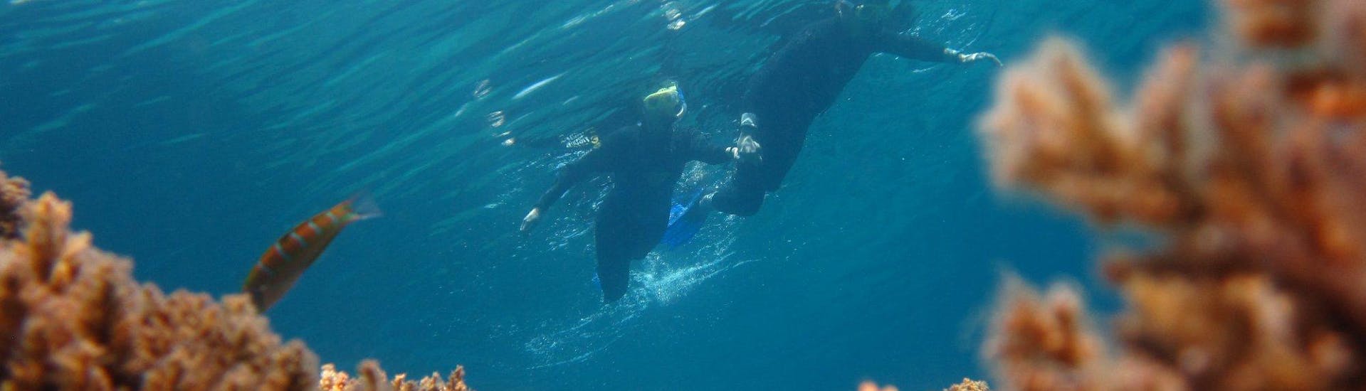 Snorkeling Trip from Santa Barbara Beach in Corfu.