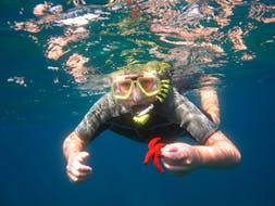 Un garçon admire une étoile de mer sous l'eau pendant l'excursion de plongée en apnée en bateau depuis la plage de Santa Barbara organisée par Hercules Marine Activites Corfu.