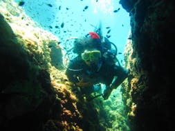 Een gecertificeerde duiker verkent de riffen rond Corfu tijdens een begeleide bootduik bij Vetoulia Reef voor gecertificeerde duikers met Herkules Marine Activities Corfu.
