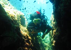 Un plongeur certifié explore les récifs autour de Corfou lors d'une plongée guidée en bateau à Vetoulia Reef pour les plongeurs certifiés avec Herkules Marine Activities Corfu.