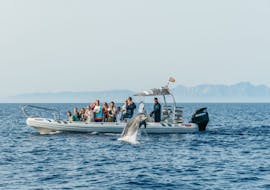 People enjoying the Boat Trip to Cap de Formentor with Dolphin Watching with Alcudia Sea Explorer.