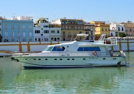 I partecipanti al tour non vedono l'ora di conoscere Siviglia in tutte le sue sfaccettature durante il loro viaggio in barca sul Fiume Guadalquivir con Seville City Tour da Fun Ride Sevilla.
