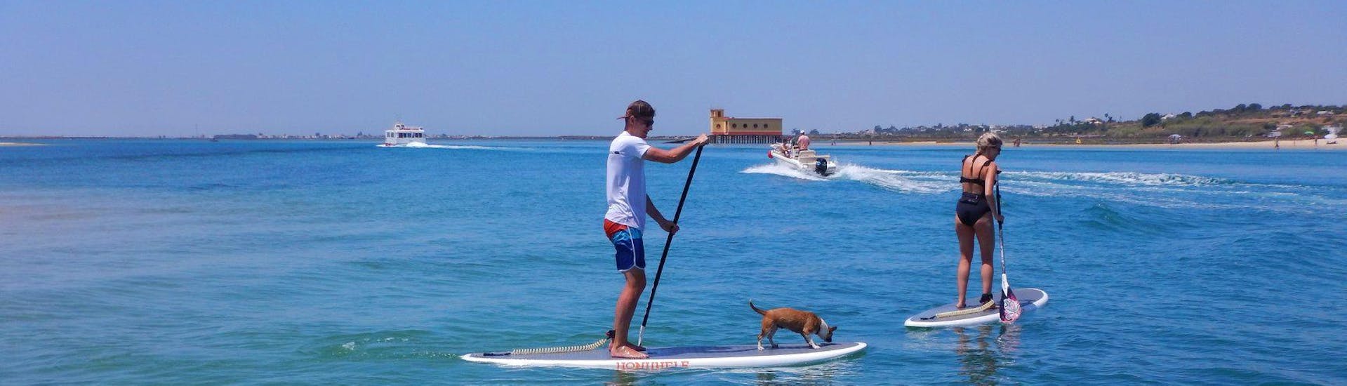 Ein Ehepaar erkundet die Lagune zusammen mit ihrem Hund während ihres von Kite Culture Algarve organisierten SUP-Verleihs an der Praia da Fuseta.