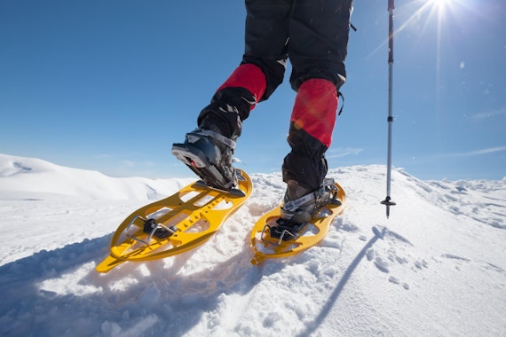 Snowshoeing Tour - Small Group