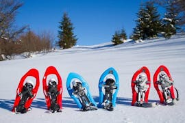 Während der Privaten Schneeschuhwanderung können die Teilnehmer die wunderschöne Aussicht gemeinsam mit der Langlaufschule Gnadenalm genießen.