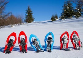 Während der Privaten Schneeschuhwanderung können die Teilnehmer die wunderschöne Aussicht gemeinsam mit der Langlaufschule Gnadenalm genießen.