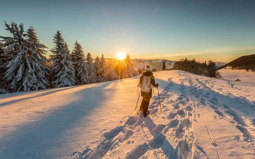 A lone hiker is watching the sunset while on their private snowshoeing tour with ACT-Sports Skischule in Arosa.