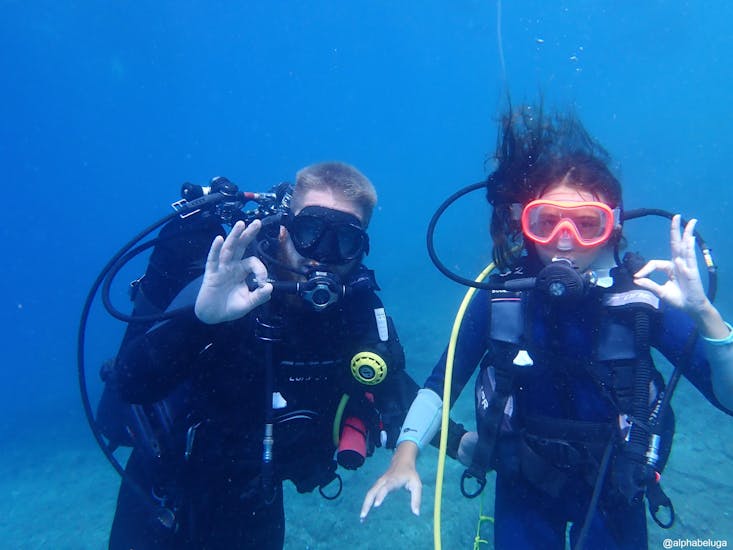 Two friends are underwater, doing one of their mandatory open water dive during their FFESSM Level 1 Diving Course in Fréjus for Beginners with Alpha Beluga Plongée.