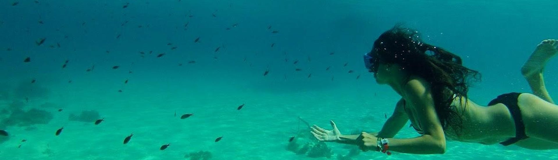 Ein Mädchen schwimmt in Gozos kristallklarem Meer während der Bootstour zum Schwimmen mit Thunfischen mit Vitamin Sea Gozo.