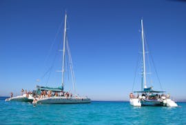 A boat is floating on the waters of the bay of Palma de Mallorca on the exclusive catamaran tour with Magic Catamarans.