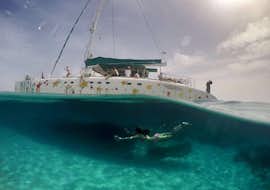 Excursion en catamaran à Illetes depuis Palma avec plongée en apnée avec Magic Catamarans Mallorca Une femme plonge dans l'eau à côté d'un bateau de Magic Catamarans lors de leur Sortie en catamaran à Illetes depuis Palma de Majorque.