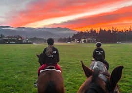 Horse Riding in Upper Savinja Valley with Funpark Menina - Savinji Horse Riding in Upper Savinja Valley is a great way to discover the region.