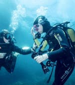 Deux plongeurs lors d'une Plongée d'exploration à Sainte-Maxime pour Débutants avec le prestataire H2O Sainte-Maxime.