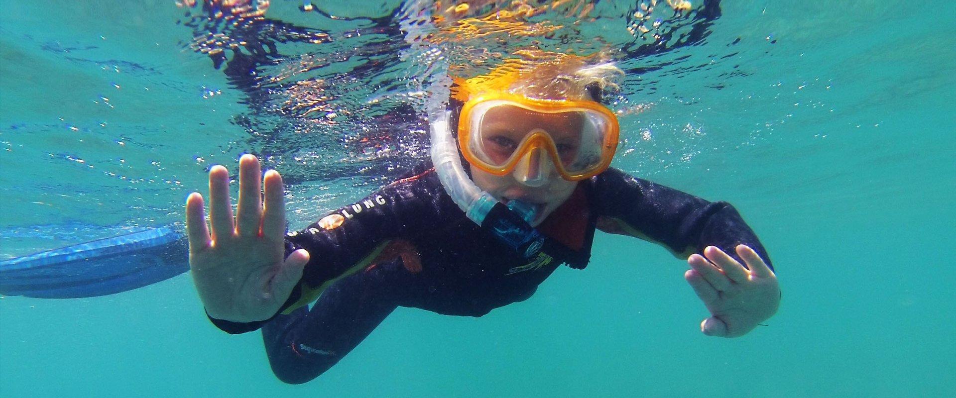 Escursione privata di snorkeling a Los Cristianos per principianti.