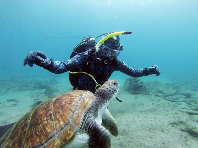 Curso PADI Scuba Diver en Los Cristianos para principantes con Kayaking & Diving Atlantis Tenerife.