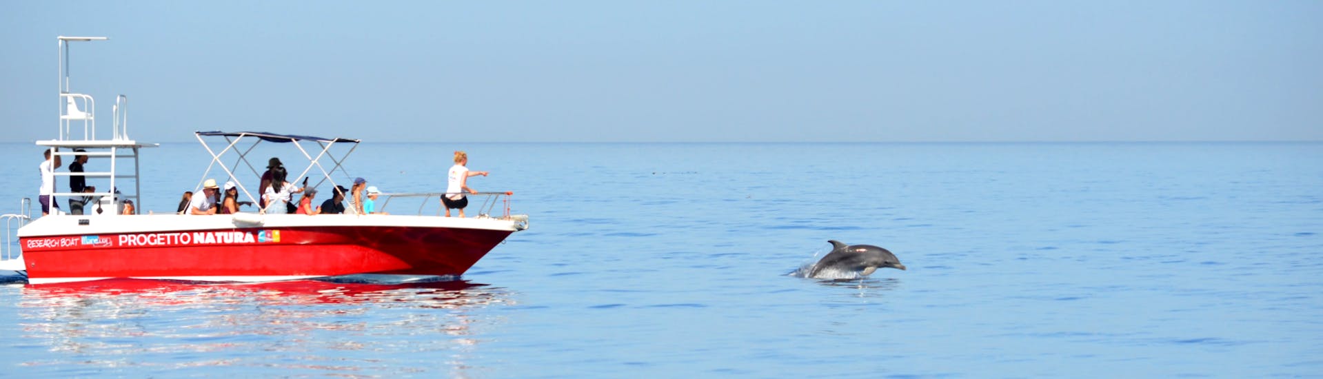 Een groep deelnemers tijdens de boottocht met dolfijnen spotten en snorkelen in Alghero heeft zojuist een groep zoogdieren gespot met Progetto Natura.