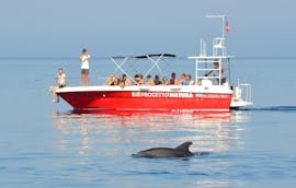 A group of people on the dolphin watching boat trip with snorkeling in Alghero with Progetto Natura Alghero.