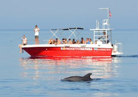 Una delle barche di Progetto Natura durante l'avvistamento delfini in barca con snorkeling ad Alghero.