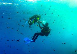 Discover Scuba Diving Kurs in Calvi für Anfänger mit Calvi Plongée Ein Tourist taucht zum ersten Mal mit seinem Tauchlehrer während des PADI Discover Scuba Diving in Baie de Calvi für Anfänger mit Calvi Plongée.