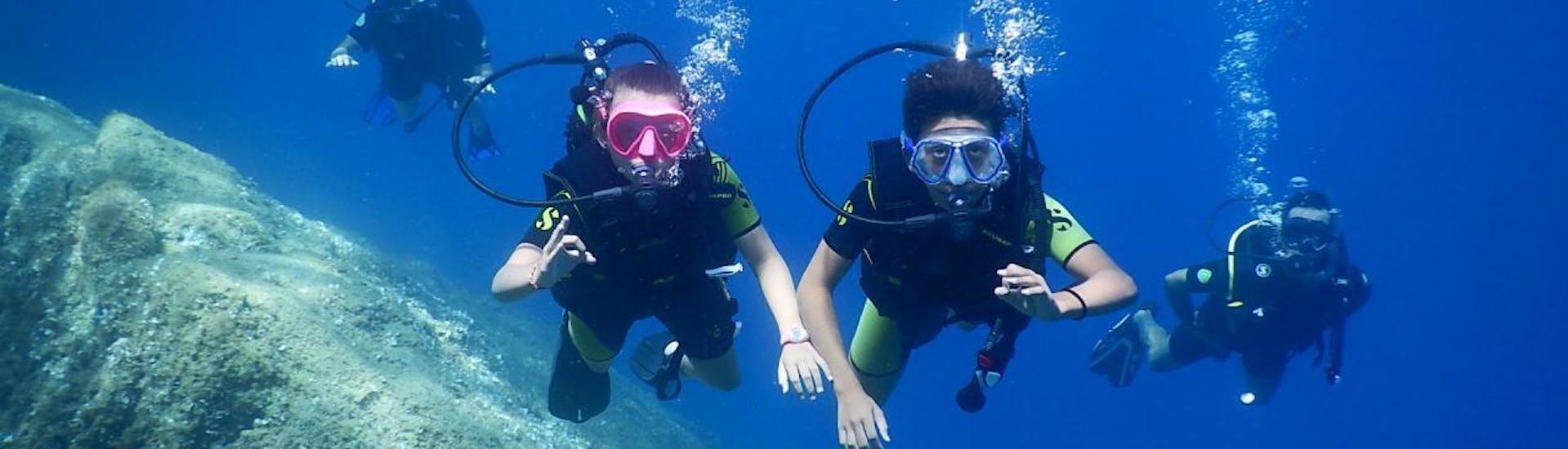 Un groupe de plongeurs s'amuse sous l'eau PADI Discover Scuba Diving dans la baie de Calvi pour débutants avec Calvi Plongée.