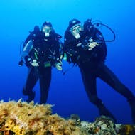 Taucher kommunizieren unter Wasser während des Level 1 FFESSM Kurses in Saint-Tropez für Anfänger mit der European Diving School Saint-Tropez.