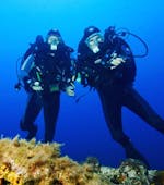 Des plongeurs communiquent sous l'eau pendant la Formation plongée FFESSM Niveau 1 pour Débutants avec European Diving School Saint-Tropez.