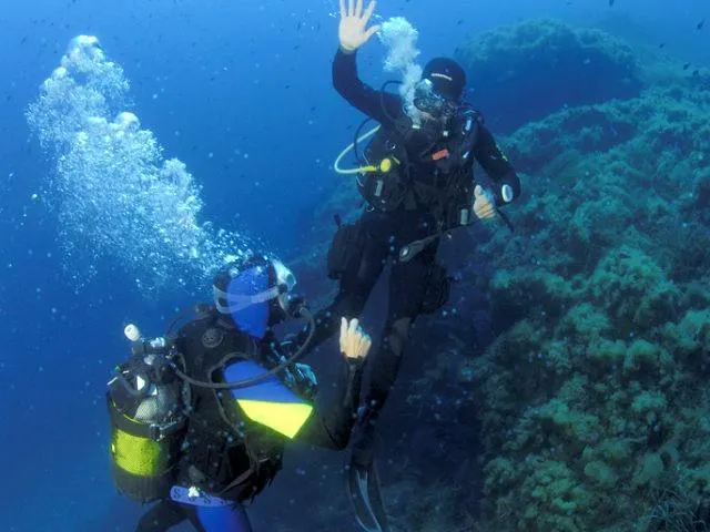 FFESSM Level 1 Diving Course in Hyères for Beginners with European Diving School Hyères A student and his instructor are communicating underwater during the FFESSM Level 1 Beginner Diving Course with European Diving School Hyères.