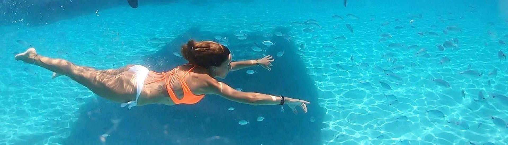 Nadar en aguas cristalinas es posible con el paseo privado en catamarán al Parque de Asinara y La Pelosa, con Buriana Charter.