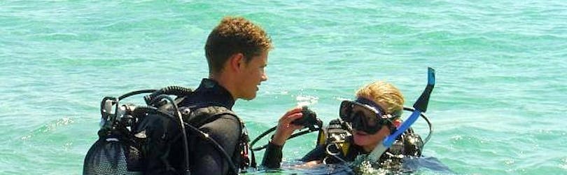 Snorkelen in Hyères voor beginners met European Diving School Hyères .