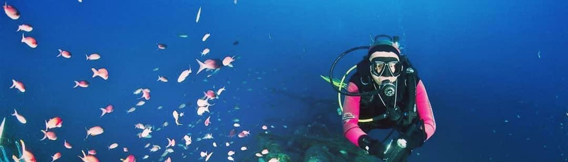 Une femme s'amuse sous l'eau pendant le snorkeling à Saint-Tropez avec European Diving School.