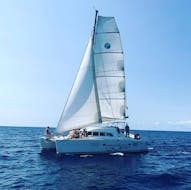 Een privé catamaran zeilt naar Formentera vanaf Ibiza met CharterAlia Ibiza.