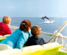 Eine Familie bei der Delfinbeobachtung mit Alcúdia Sea Trips.