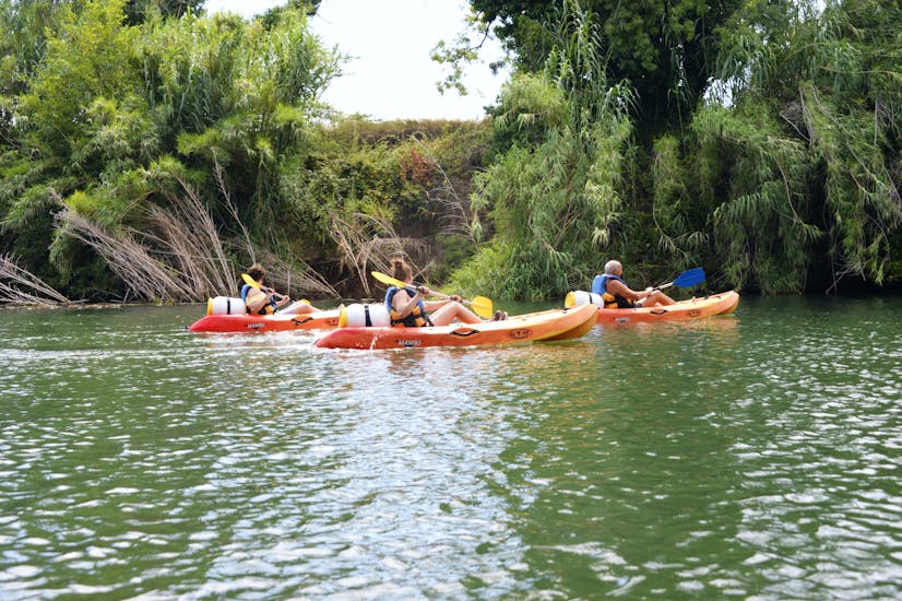 Gli amici si godono il tour naturalistico di 4 km in kayak e canoa sul fiume Argens con Kayak Paddle Fréjus.