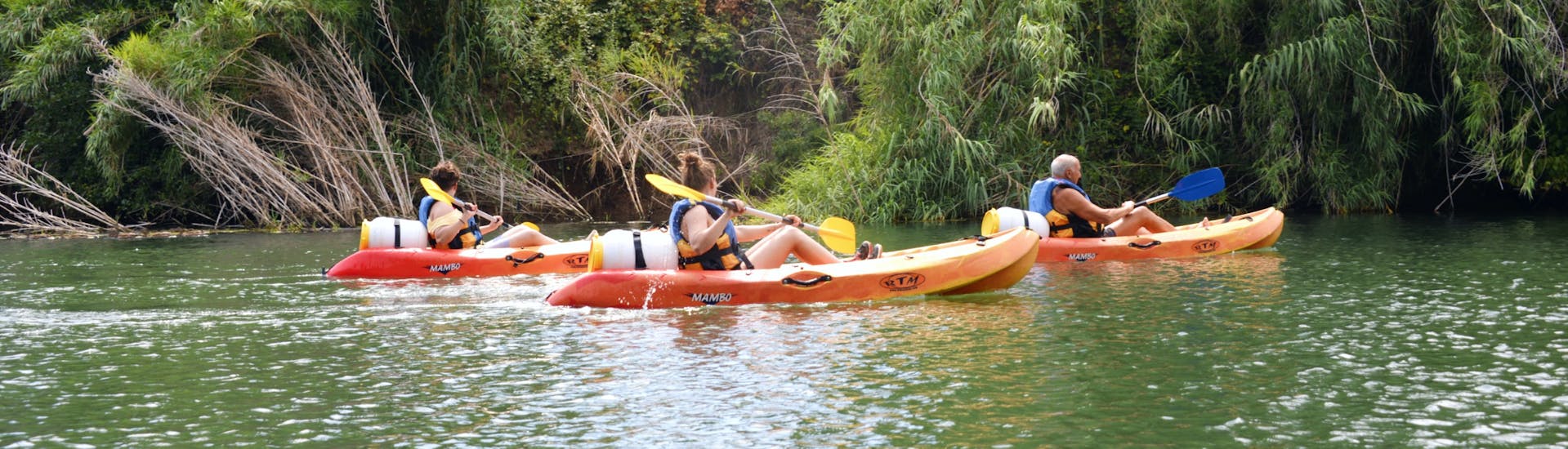 Friends are enjoying their Kayak & Canoe on the Argens River Nature Tour 4km with Kayak Paddle Fréjus.