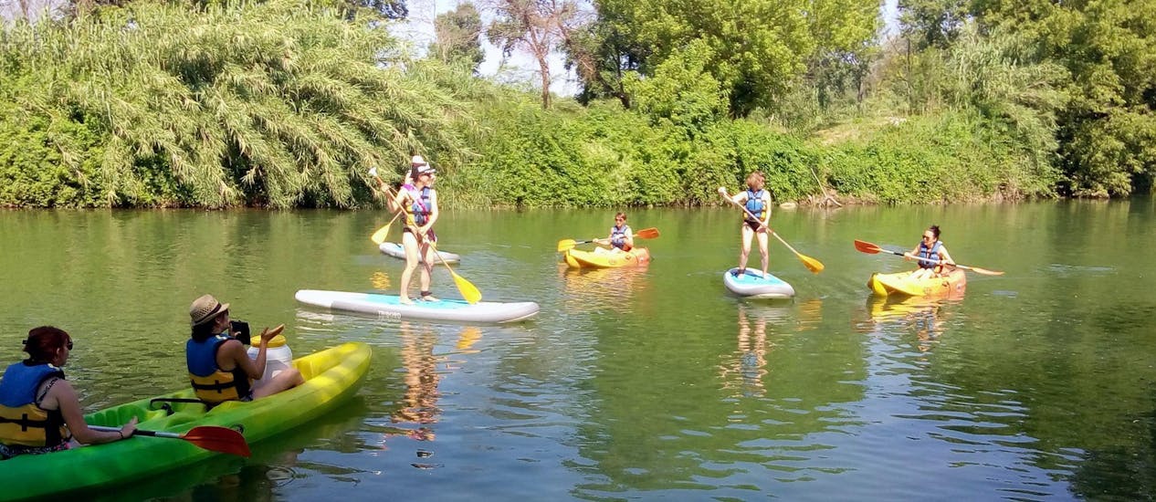 Amici che si divertono durante il noleggio di SUP sul fiume Argens con Kayak Paddle Fréjus.