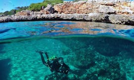 Un participant à la formation plongée PADI Discover Scuba Diving à Portocolom avec East Coast Divers Mallorca plonge le long de la côte rocheuse.