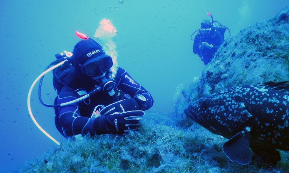 Guided Dives around Portocolom for Certified Divers from East Coast Divers Mallorca Guided Dives around Portocolom for Certified Divers from East Coast Divers Mallorca.