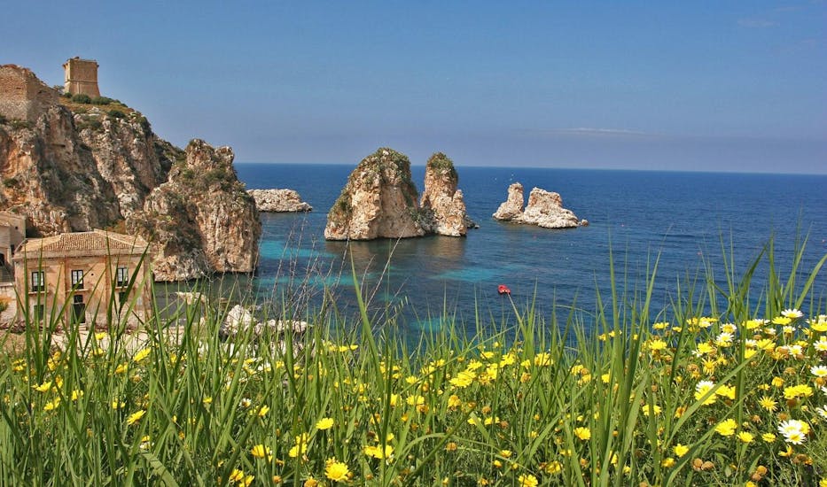 vista della costa di San Vito Lo Capo con scogli nello sfondo e fiori gialli in primo piano.