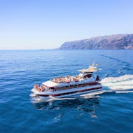 A dolphin & whale watching catamaran trip to Los Gigantes with Tenerife Dolphin.