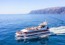 A dolphin & whale watching catamaran trip to Los Gigantes with Tenerife Dolphin.